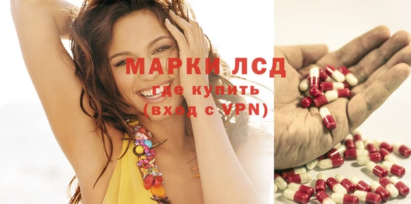 ПСИЛОЦИБИНОВЫЕ ГРИБЫ Аркадак