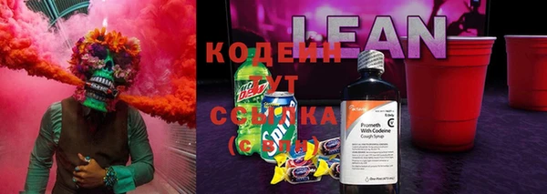 ПСИЛОЦИБИНОВЫЕ ГРИБЫ Аркадак