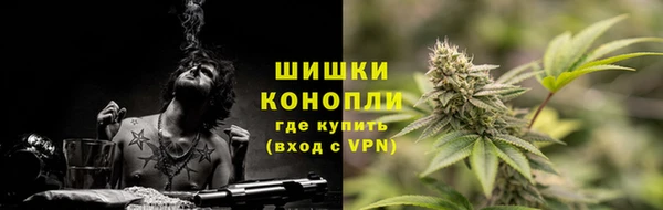 ПСИЛОЦИБИНОВЫЕ ГРИБЫ Аркадак