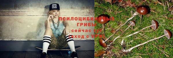 ешки Армянск