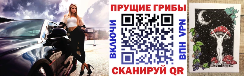 Галлюциногенные грибы Magic Shrooms  Краснотурьинск 